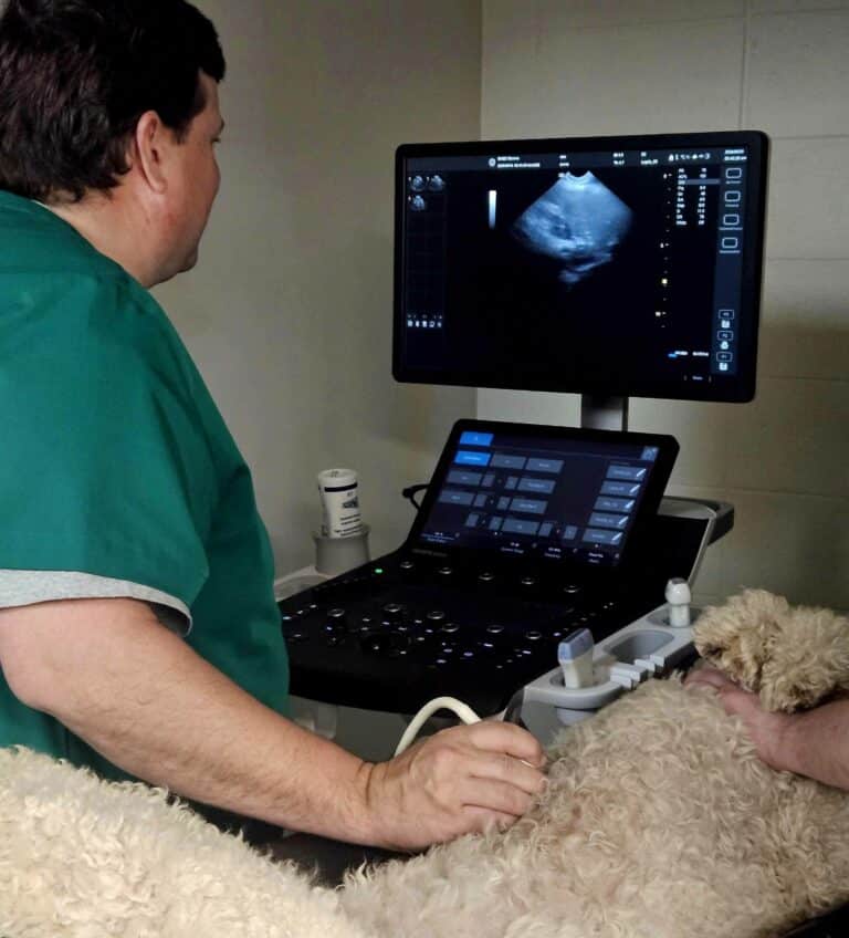 Advanced Diagnostics