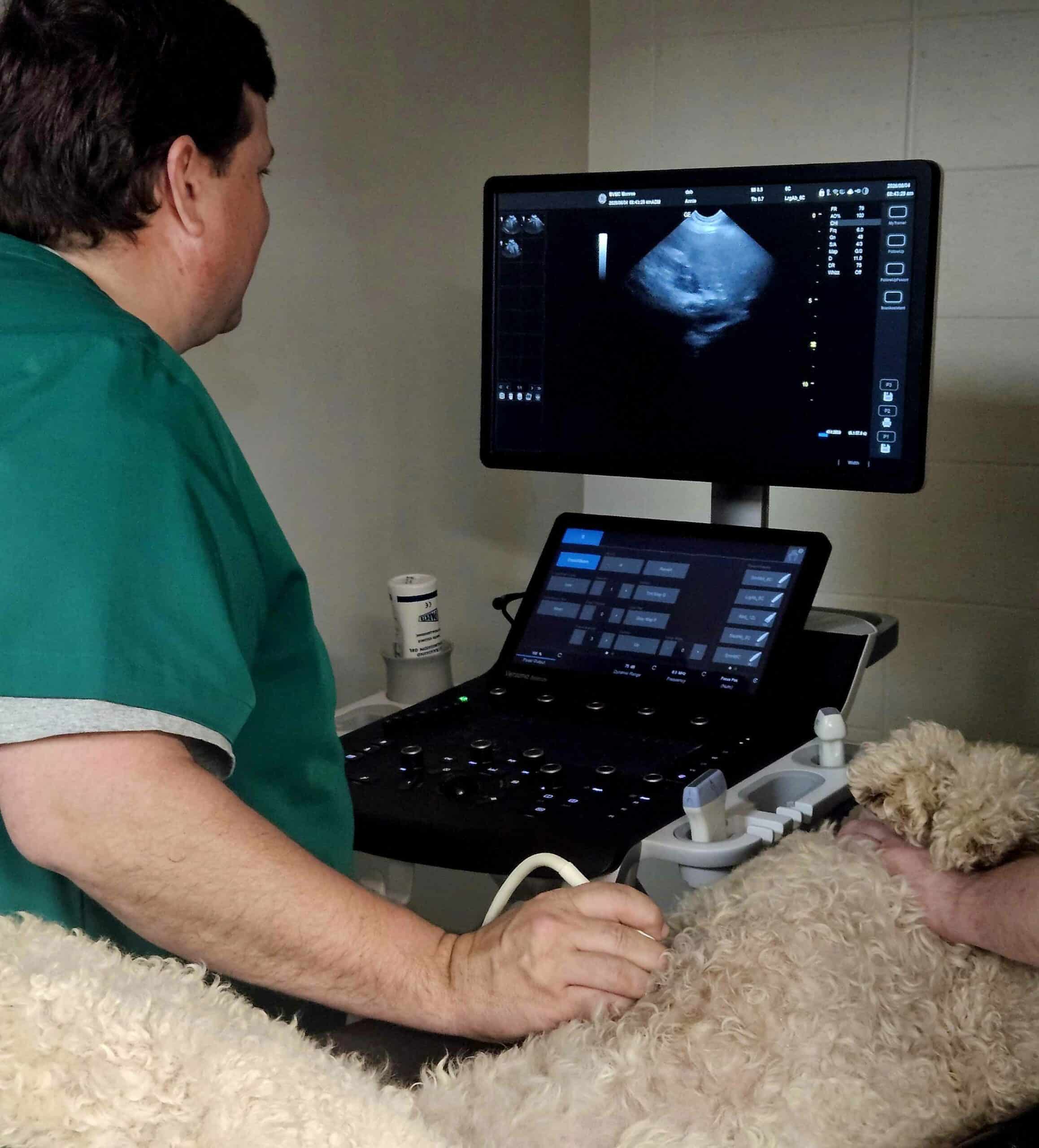 Advanced Pet Diagnostics You Can Count On