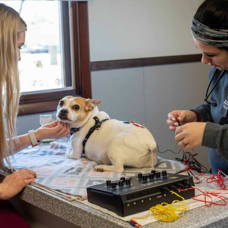 Alternative Theraphies