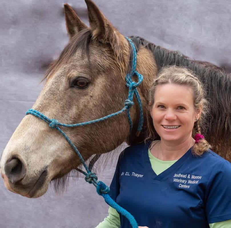 Dr. Debbie Thayer