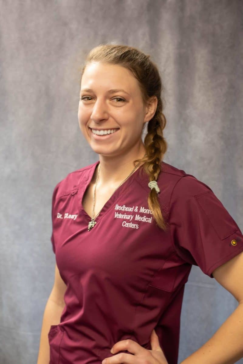 Dr. Rachel O’Leary