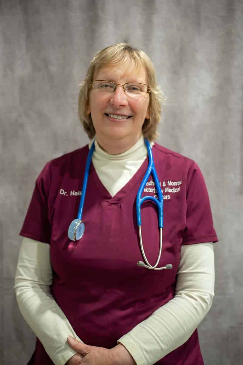 Dr. Wendy Pinnow Heise