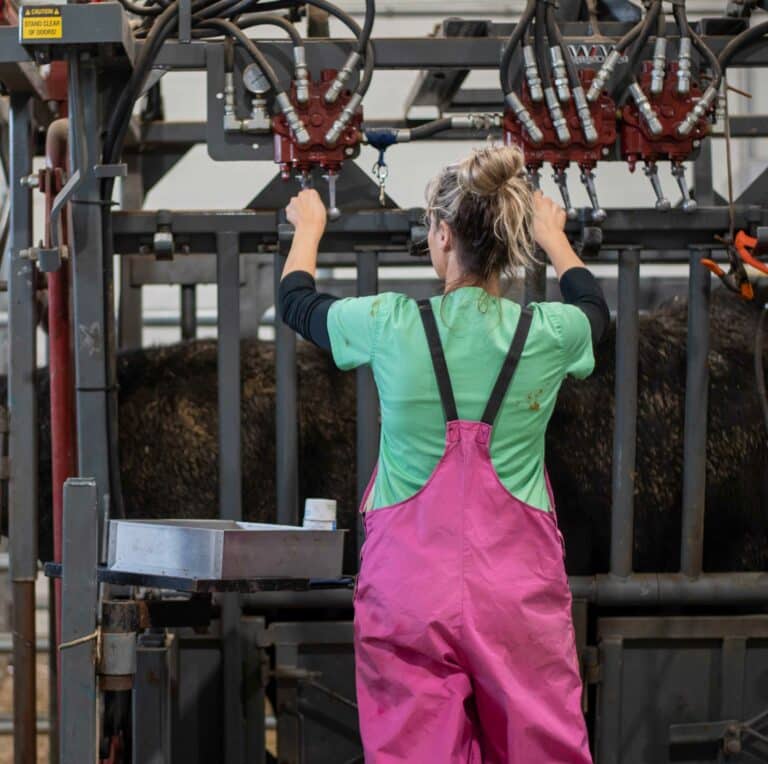 Food Producing Animals