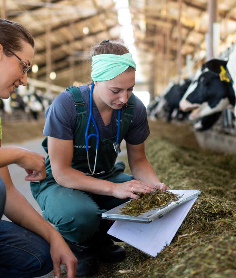 Herd Health and Preventative Care